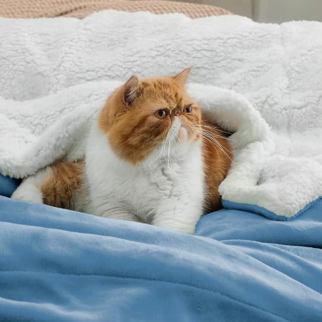 Detalle 2 de BEDSURE Kuscheldecke Sherpa Warm 220x240 cm