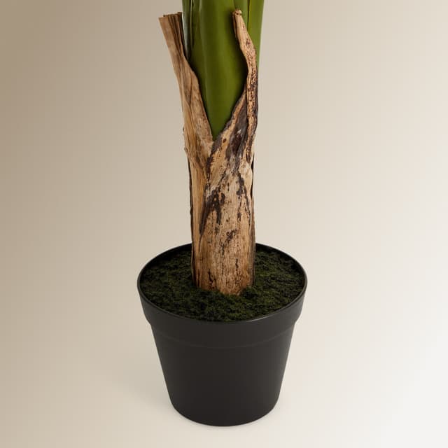 Thumbnail 2 de El Corte Inglés Árbol banano 130 cm