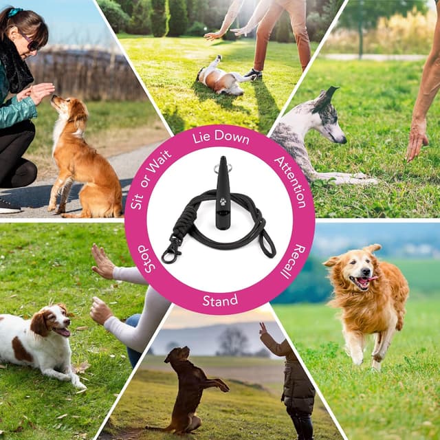 Detalle de The Dog Lady (TDL) Gun Dog Training Whistle with Lanyard – Loud, High-Frequency Recall Whistle (Black)