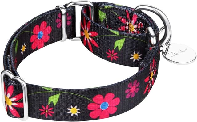 Thumbnail 1 de Dazzber Martingale Dog Collar 25–38cm