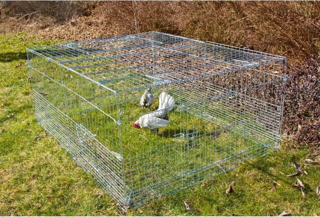 Thumbnail 6 de Enclos extérieur Kerbl Pet pour jeunes animaux avec barrière anti-évasion – 144 x 112 x 60 cm