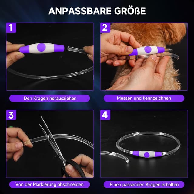 Thumbnail 6 de Leuchthalsband für den Hund (aufladbar) – LED, wasserdicht, 3 Lichtmodi, Violett, 70 cm