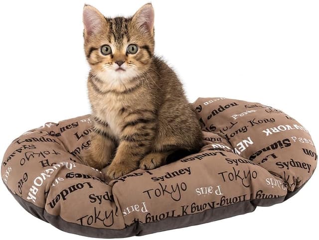 Imagen de Ferplast RELAX 45/2 cuscino 43 x 30 cm en OfertitasTOP