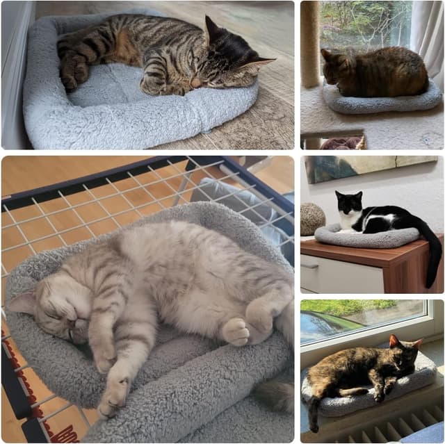 Thumbnail 6 de Namsan Katzenbett Sanft Grau