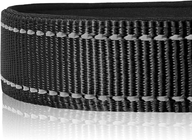 Detalle de Joytale Reflective Dog Collar, L black