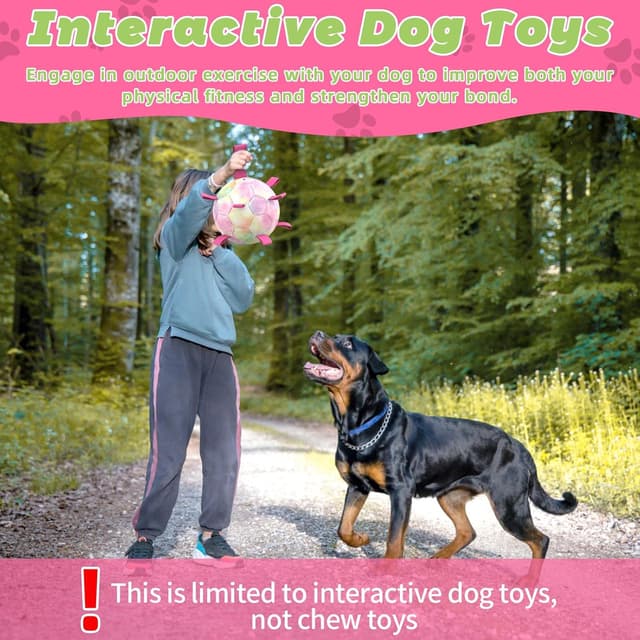 Detalle 2 de HETOO Dog Soccer Ball 6 Inch for puppies