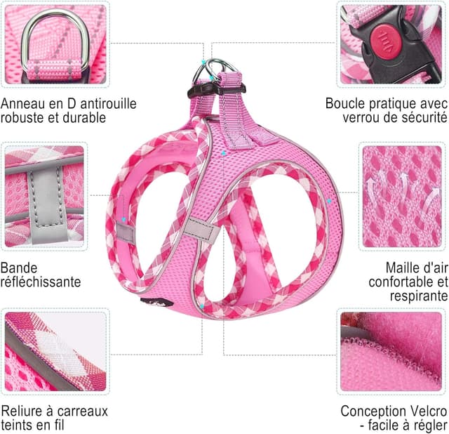 Detalle 2 de Ensemble haapaw harnais réglable et laisse pour chien — respirant, réfléchissant et rembourré