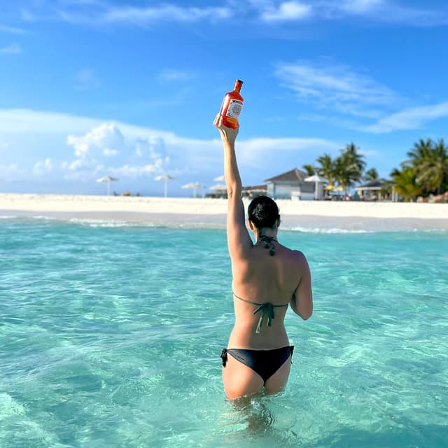 Thumbnail 5 de KAIZA 5 ORANGE GIN 0,7 l 43%