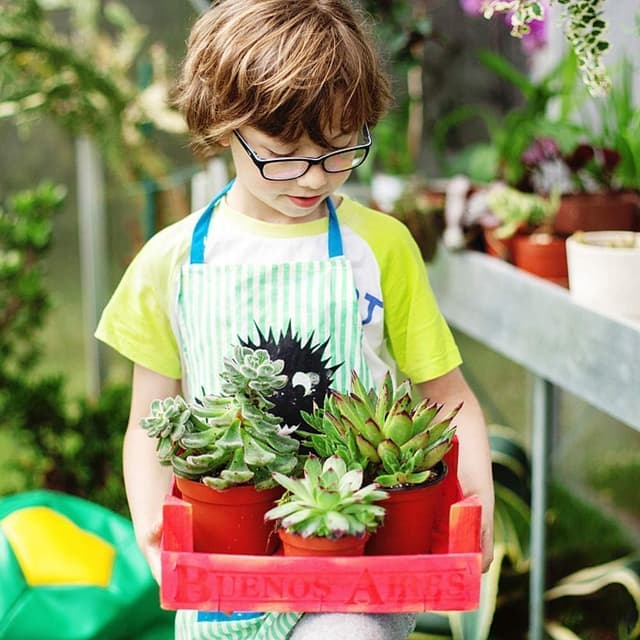 Thumbnail 6 de Jordbrux seedling pots 11.8 cm, 10 pack