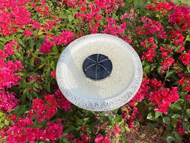 Detalle 2 de Jsdoin solar fountain pump with 7 nozzle heads – solar-powered water feature for ponds, bird baths and patios