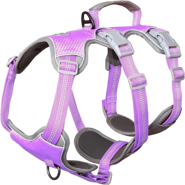 Detalle de Huntboo No Escape Dog Harness Lavender M