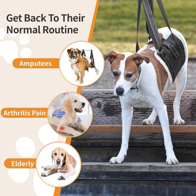 Thumbnail 6 de BRO Adjustable Dog Lifting Harness (L) with Anti-slip Buckle for Rehab & Weak Rear Legs