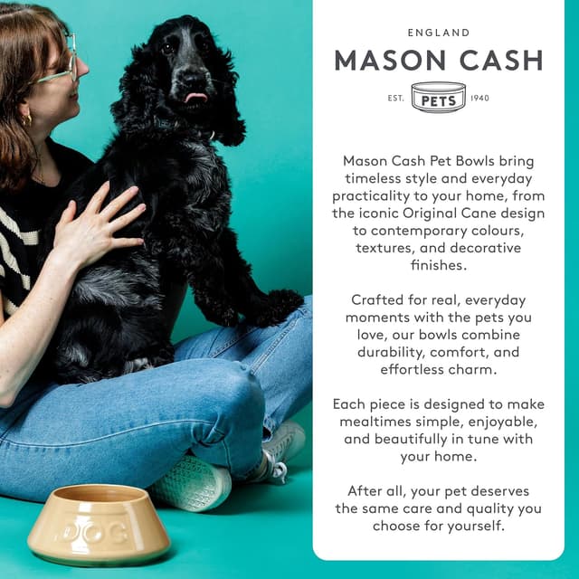 Detalle 2 de Mason Cash Color Mix Creme Katzen-Untertasse 13 cm – robuste Gres-Untertasse für Futter & Pflege