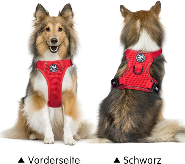 Detalle de PoyPet Hundegeschirr im Mesh, Rot M