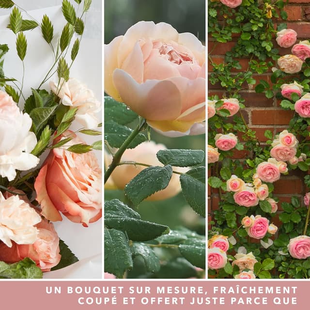 Detalle 2 de Yankee Candle Bougie parfumée Roses fraîchement coupées en jarre (jusqu’à 150 h)