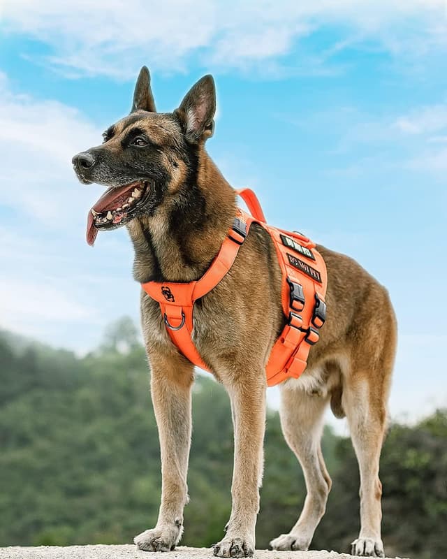 Detalle de OneTigris Large Tactical Dog Harness (No-Pull, Adjustable) with Handle, Hook & Loop Panels – L