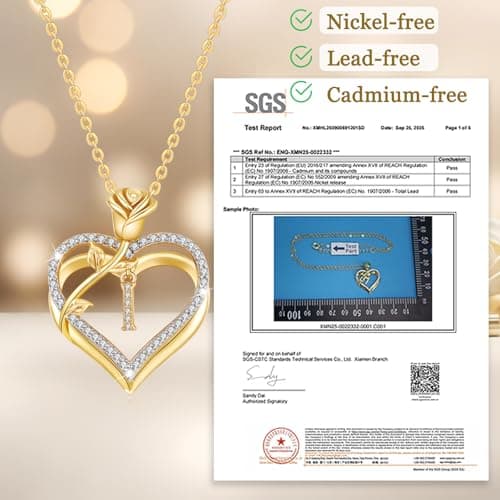 Detalle de llyish Collar mujer con inicial A-Z, doble corazón y circonita cúbica 5A en plata de ley 925/latón