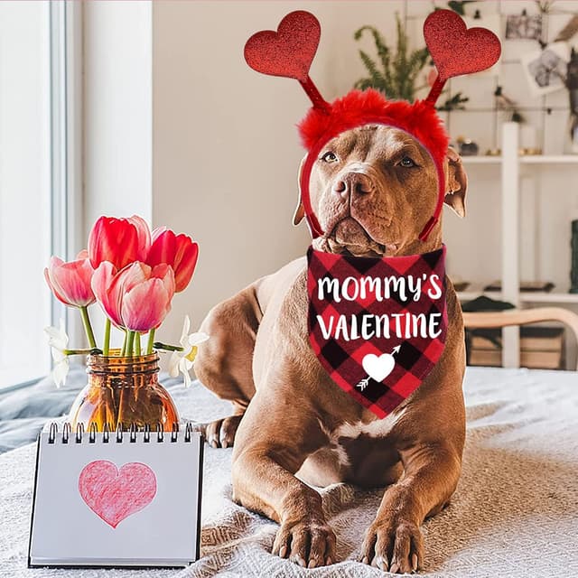 Thumbnail 1 de STMK Valentine’s Day Dog Bandana 30" 🎀