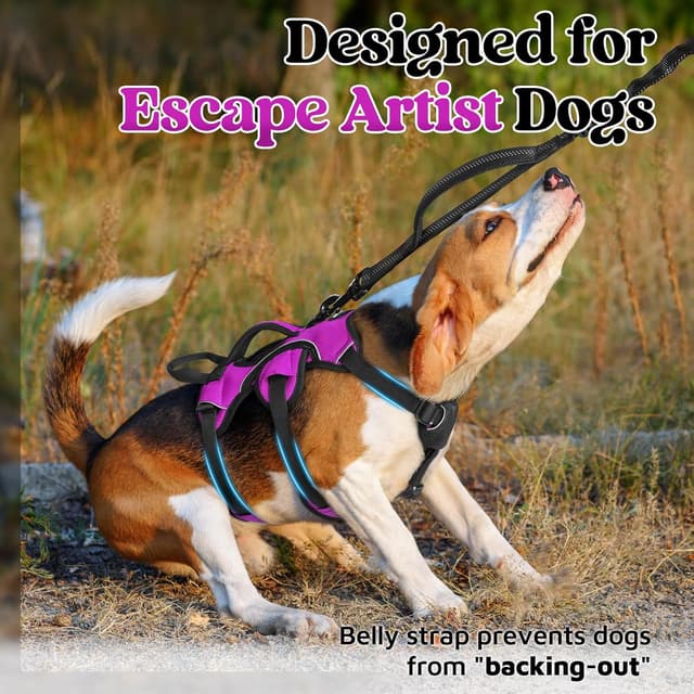 Detalle de rabbitgoo Escape-Proof Dog Harness (Small, with Handle) – Adjustable, Reflective Vest-Style, Purple (S)