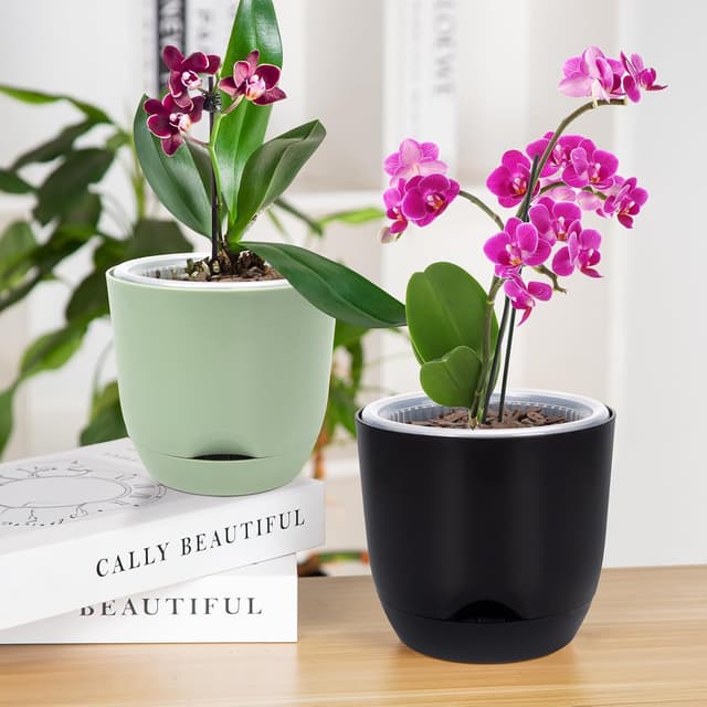 Detalle 2 de QCQHDU 2 Pack Orchid Pots (5.8in) with Self-Watering Reservoir – Clear Plastic, Leak-Resistant Design
