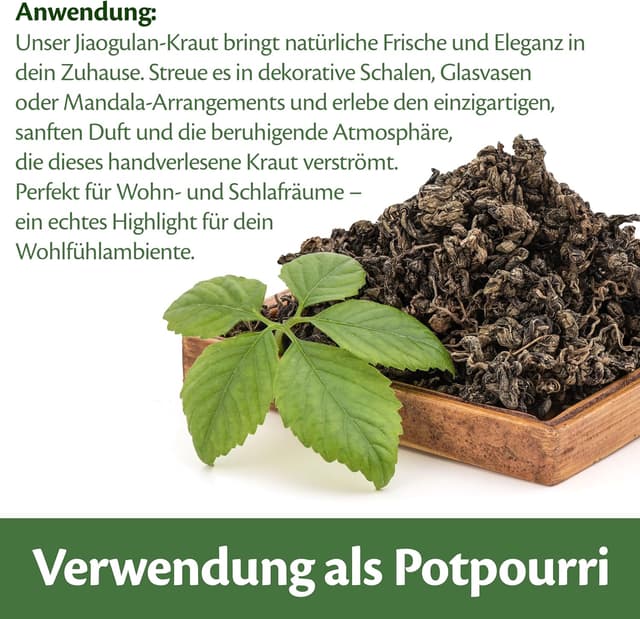 Thumbnail 5 de Jiaogulan Kraut der Unsterblichkeit 150g