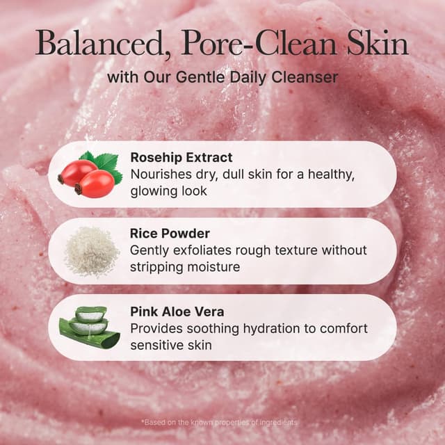 Detalle de ARENCIA Rosehip Brightening Rice Mochi Face Cleanser & Daily Scrub (4.23oz) — Moisturizing exfoliating daily wash