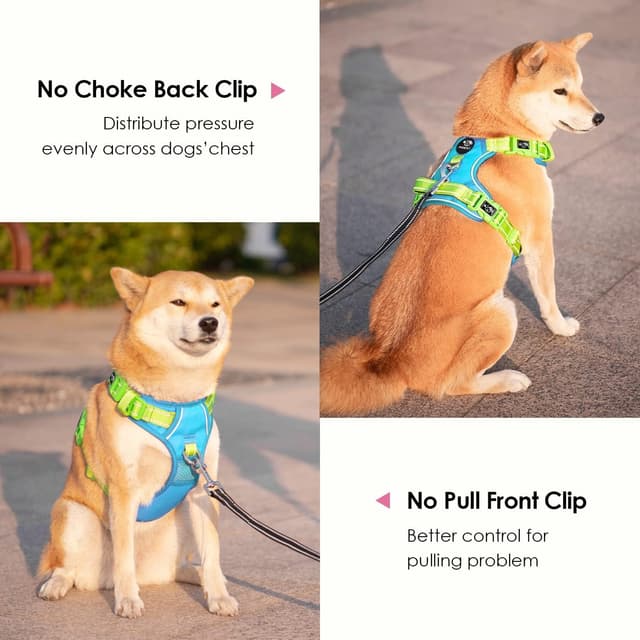 Detalle de PHOEPET Dog Harness No Pull – Escape Proof adjustable reflective vest with front training clip, padded control handle (Blue/Green, S)