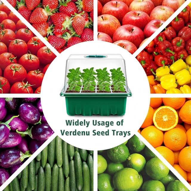 Thumbnail 6 de Verdenu Seed Trays 6PCS propagator kit