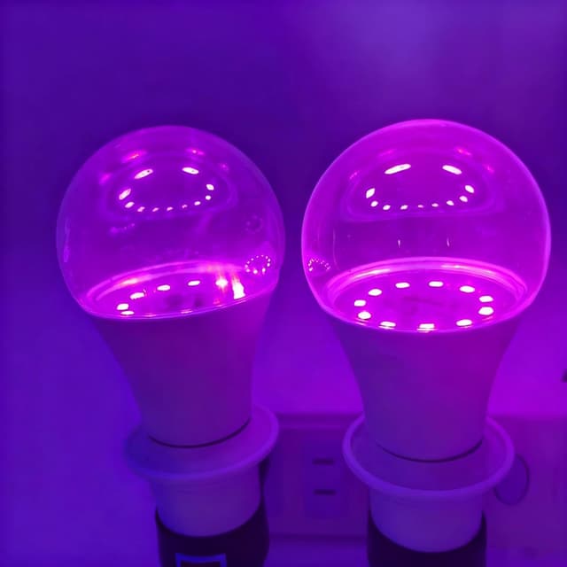 Detalle 2 de LIAISIMI UV Schwarzlichtlampe E27 10 W