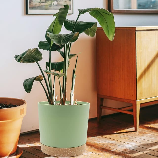 Detalle 2 de QCQHDU 25.4cm Plant Pot (2 Pack) with Drainage Holes & Saucer Tray, Green