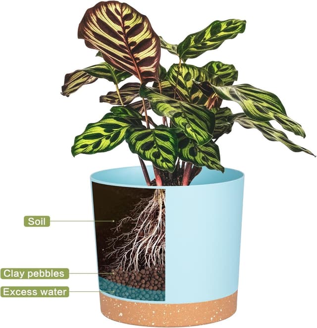 Detalle 2 de QCQHDU 16.5cm Plant Pot (2 Pack) with Drainage Holes & Saucer – LightBlue