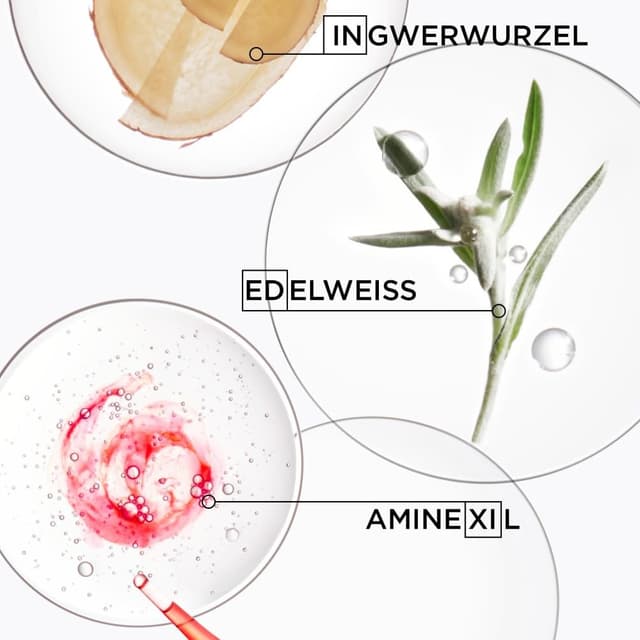 Detalle 2 de Kérastase Genesis Pflegeroutine Probierset mit Shampoo, Haarspülung & Hitzeschutzspray für feines, brüchiges Haar