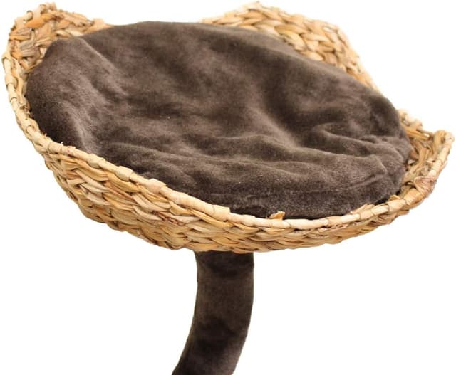 Thumbnail 4 de Croci Natural Magnolia Kratzbaum 45x45x99 cm