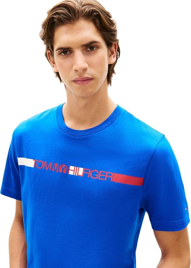 Detalle de Tommy Hilfiger Brand Love Stripe Tee MW0MW42368: t-shirt da uomo a righe per stile casual