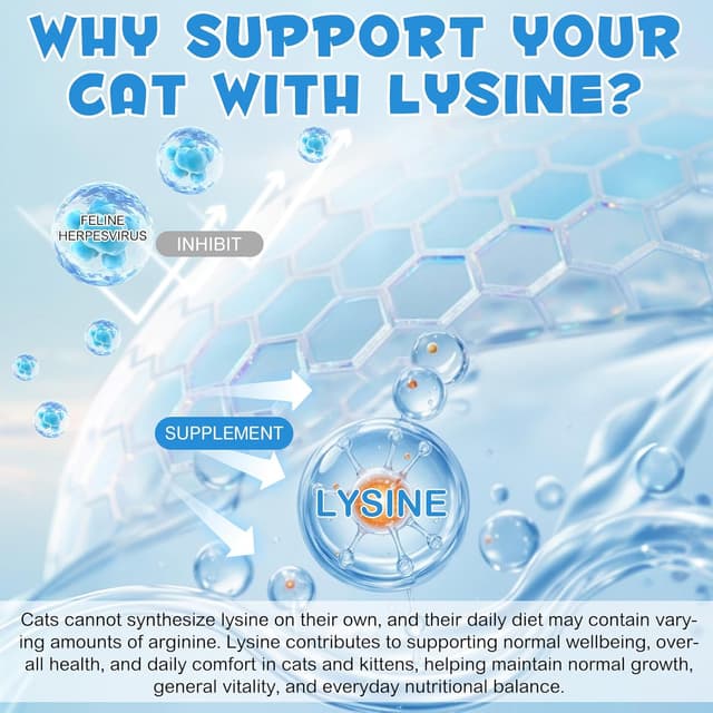 Thumbnail 1 de HEXIN Lysin Katze 60ml L-Lysin Tropfen