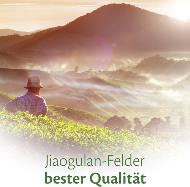 Thumbnail 1 de Jiaogulan Kraut der Unsterblichkeit 150g