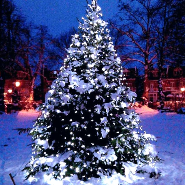 Thumbnail 6 de Peasur Luci Solari Esterno con 3 pacchi da 12 m, 120 LED e 8 modalità