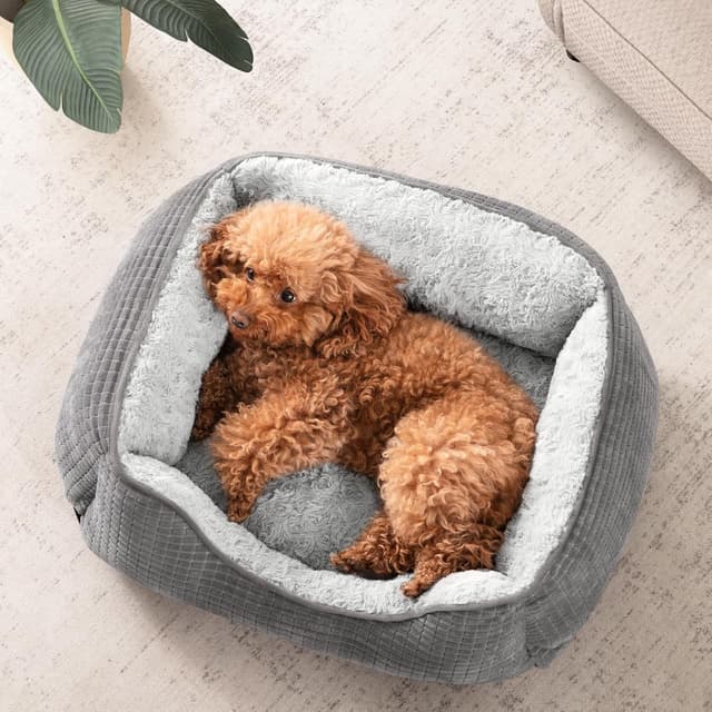Thumbnail 6 de JOEJOY Extra Extra Large dog bed 107x76x25 cm