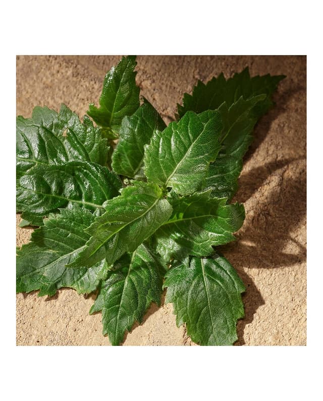 Thumbnail 5 de Dolce & Gabbana Devotion Male perfume 100 ml