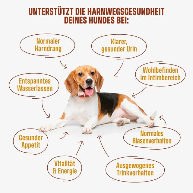 Detalle de ivvi Urology 60 Snacks für Hunde