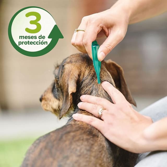 Thumbnail 6 de Beaphar Pipetas repelentes para perros grandes 2 ml