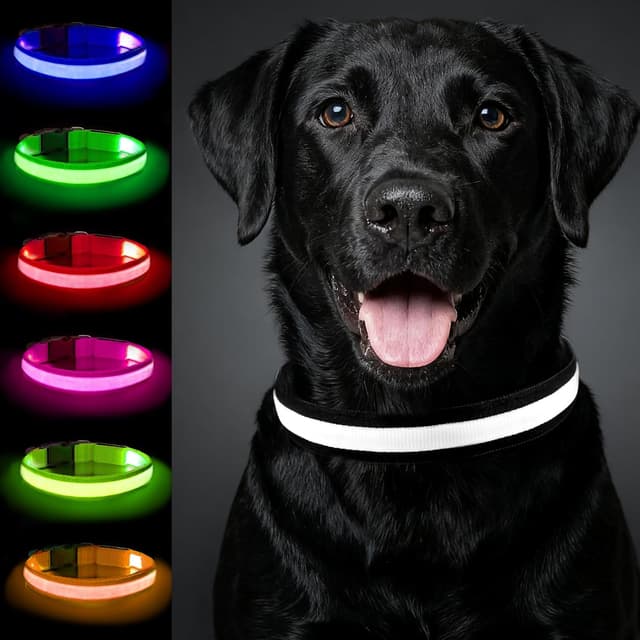 Detalle de Nepfaivy light up dog collar, 13 modes