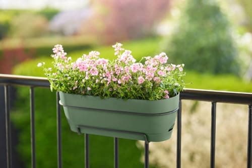 Thumbnail 1 de Elho Vibia Campana Trough 50 jardinera balcón Ø 49 cm verde pistache