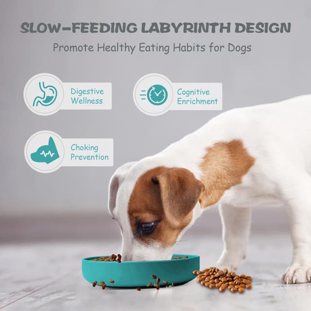 Thumbnail 5 de Lesipee Slow Feeder Bowl for Dogs