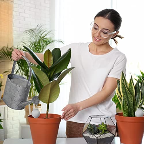 Thumbnail 2 de Relaxdays 4 Picos Globo autorriego 100 ml para plantas 🌱