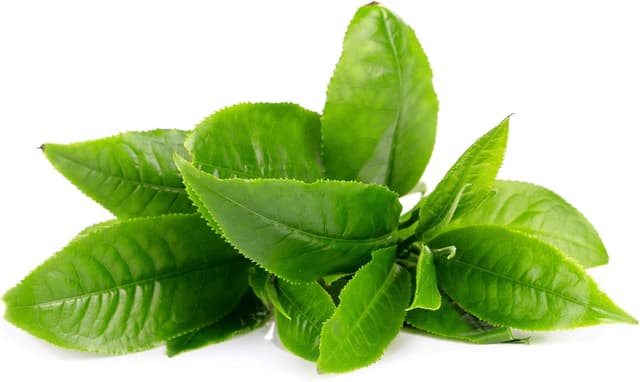 Detalle 2 de FOREO Green Tea UFO Activated Mask 6 pack