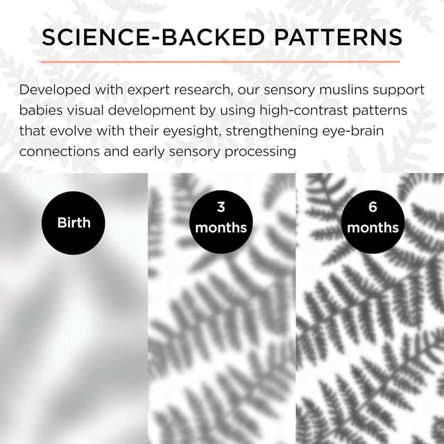 Detalle 2 de Etta Loves Extra Large Fern Print Muslin Cloth (Black & White) – Sensory Muslin Square for Newborns to 4 Months, 1-Pack