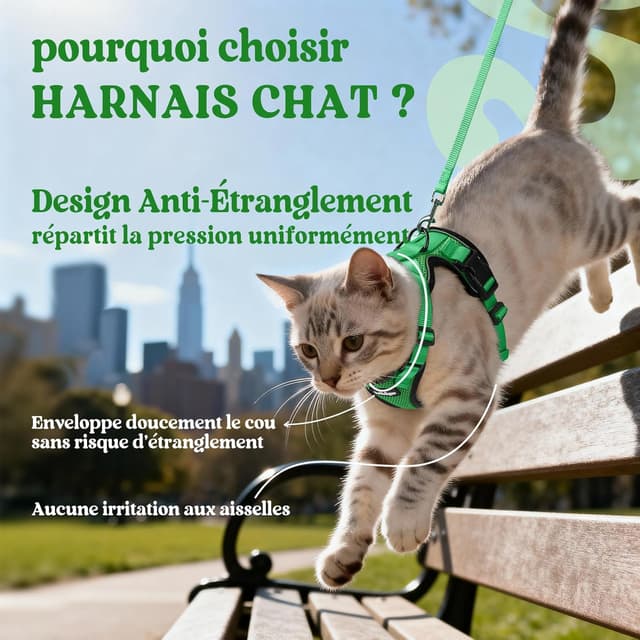 Detalle de rabbitgoo Harnais chat anti-évasion avec laisse et gilet réfléchissant, réglable XS (vert herbe)