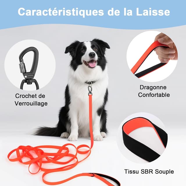 Detalle 2 de Longe pour Chien étanche (1,8 m à 30 m) – Laisse de dressage avec poignée confortable