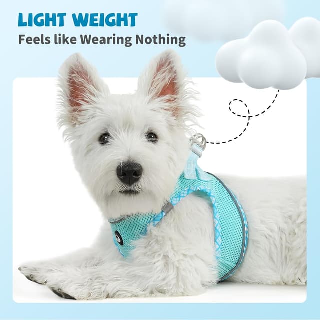 Detalle de COMSLE Pettorina per Cani Taglia Piccola XS blu chiaro con imbottitura morbida, traspirante e riflettente